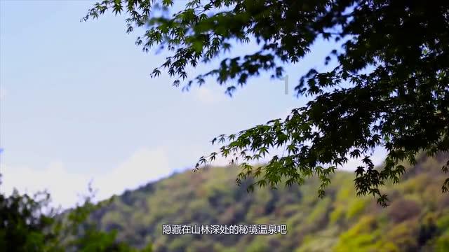 植物大战僵尸5