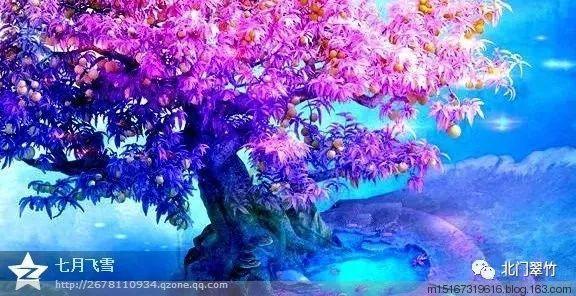 黄金矿工海底版
